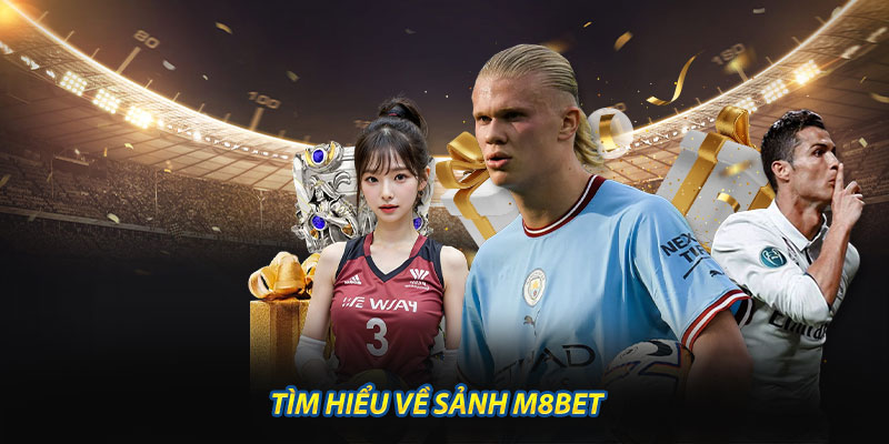 Tìm Hiểu Về Sảnh M8BET