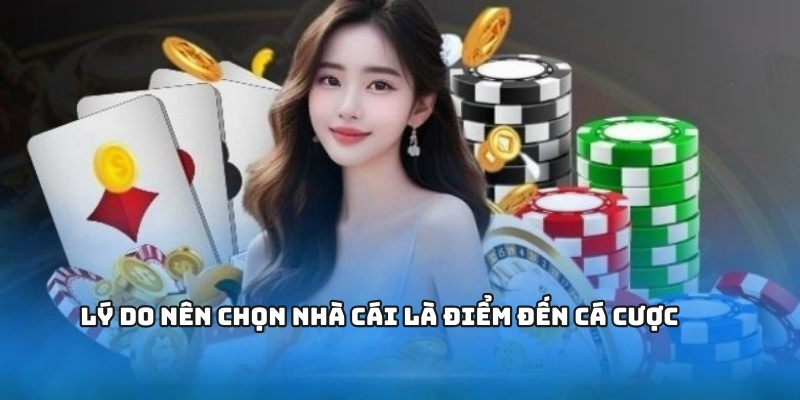 Lý do nên chọn đại lý 1gom